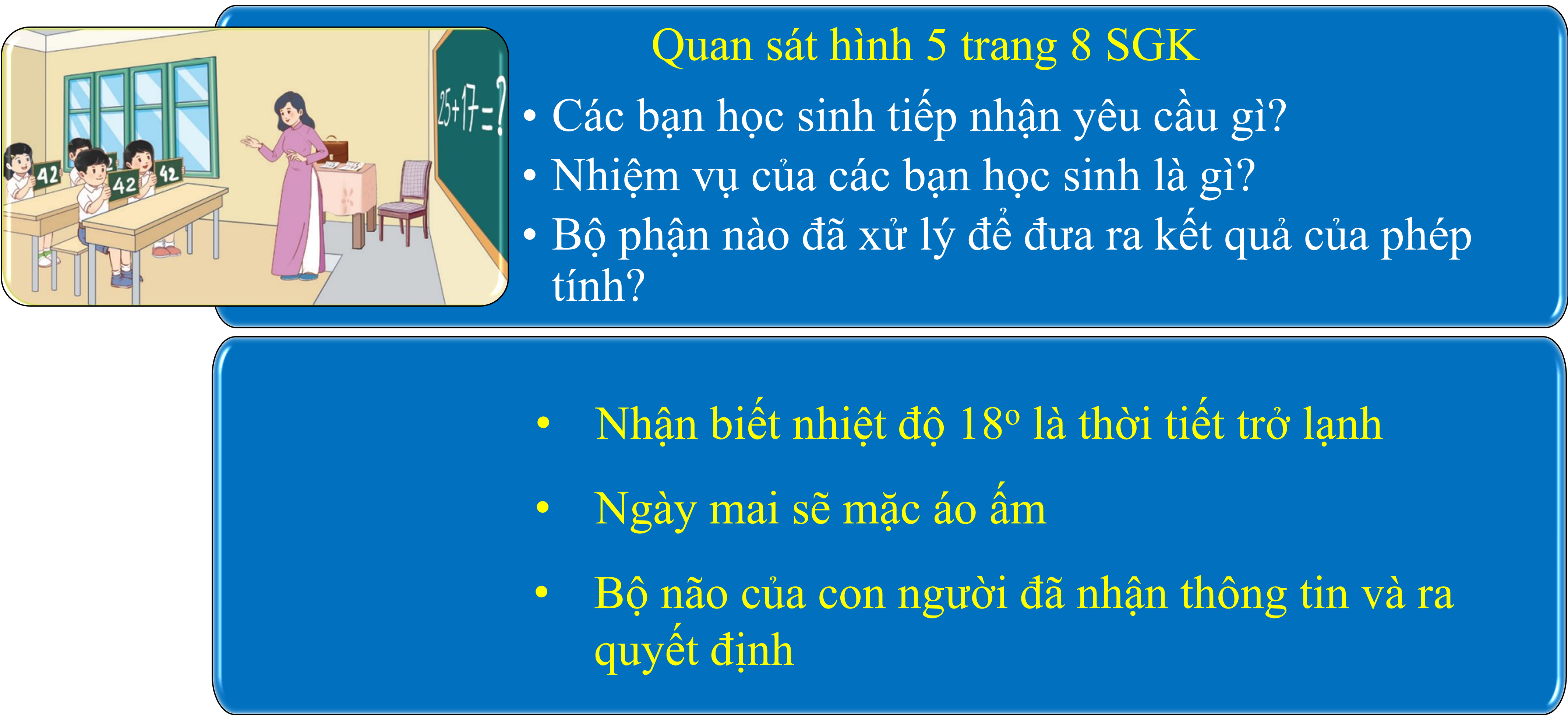 Hình: Bộ não con người