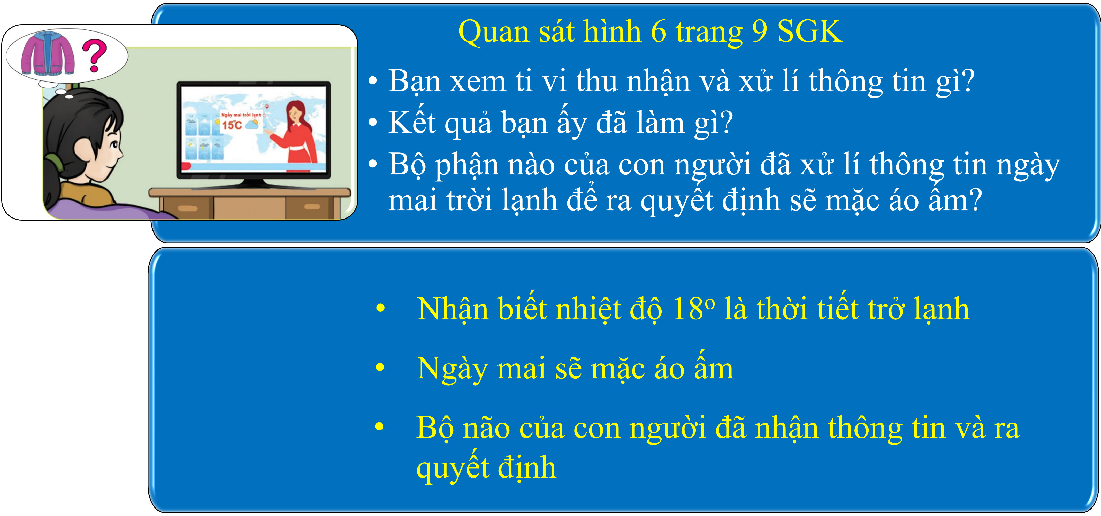 Hình: Bộ não con người